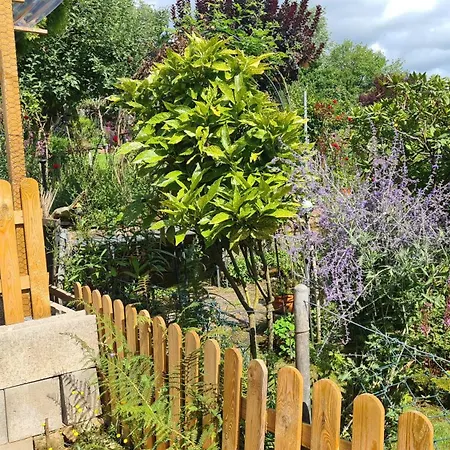 Haides Helle ネッカーシュタイナハ