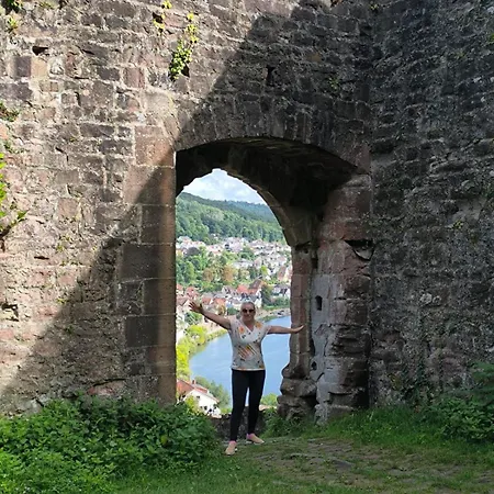 Haides Helle Neckarsteinach