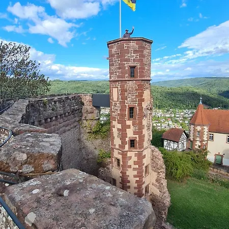 Haides Helle アパート ネッカーシュタイナハ